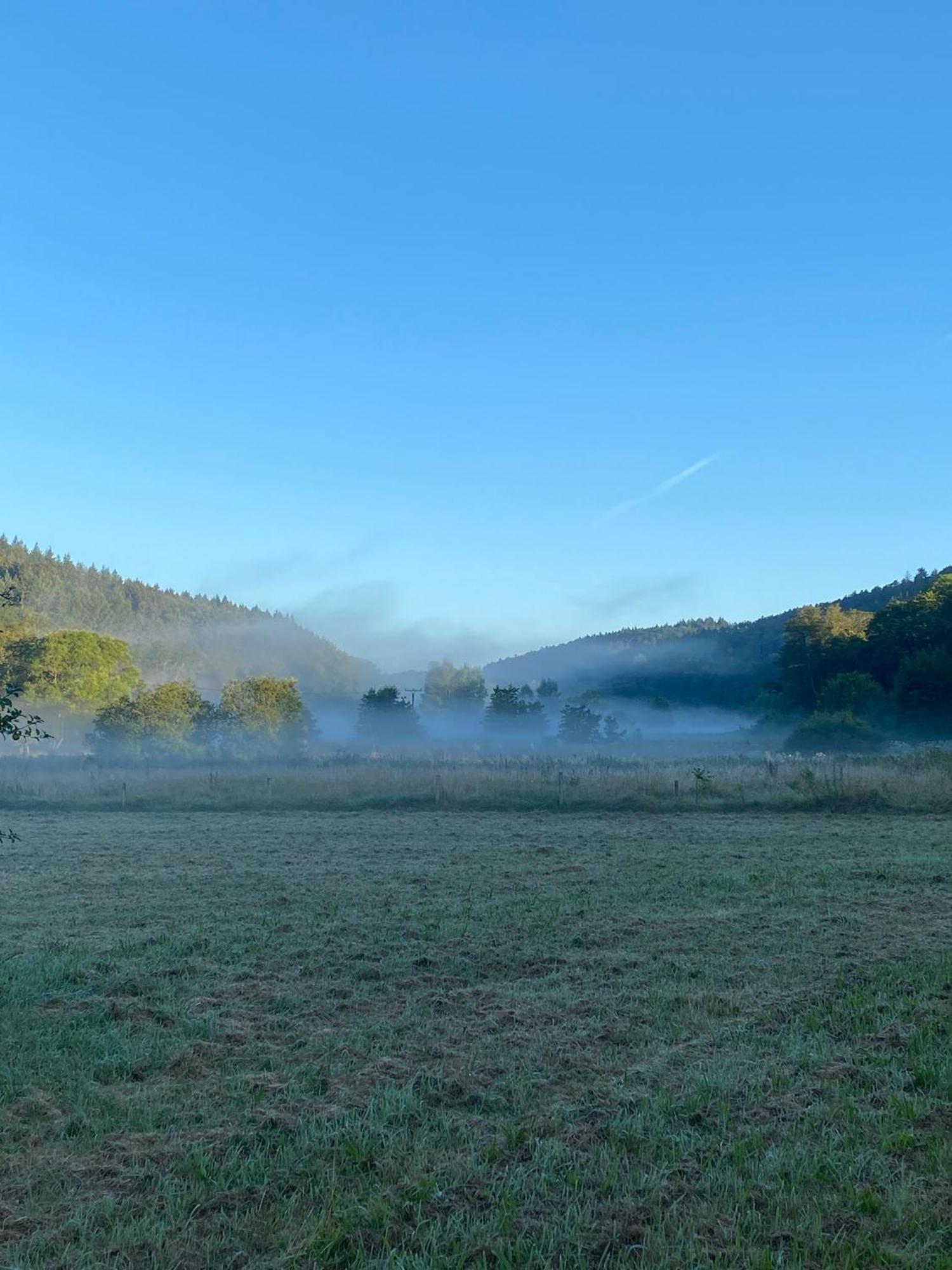 Ferienhaus Vulkaneifel Abtei Himmerod Großlittgen Екстериор снимка