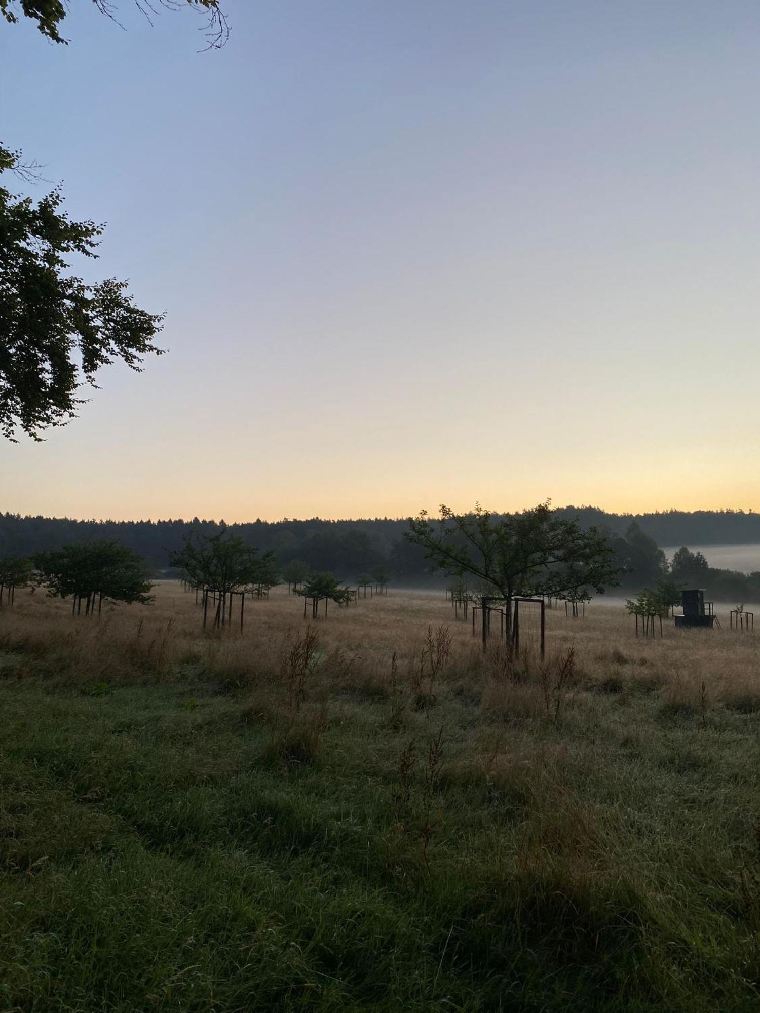 Ferienhaus Vulkaneifel Abtei Himmerod Großlittgen Екстериор снимка