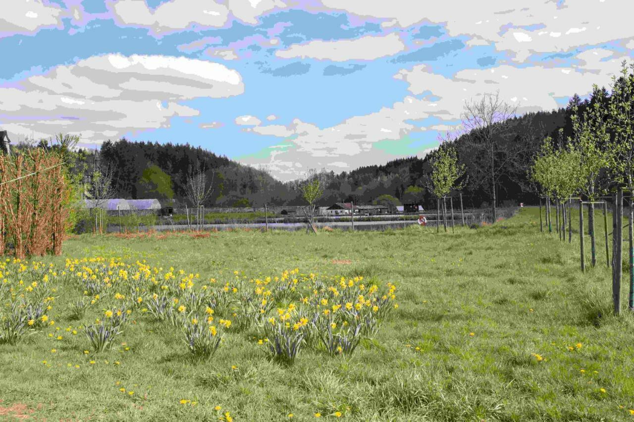Ferienhaus Vulkaneifel Abtei Himmerod Großlittgen Екстериор снимка