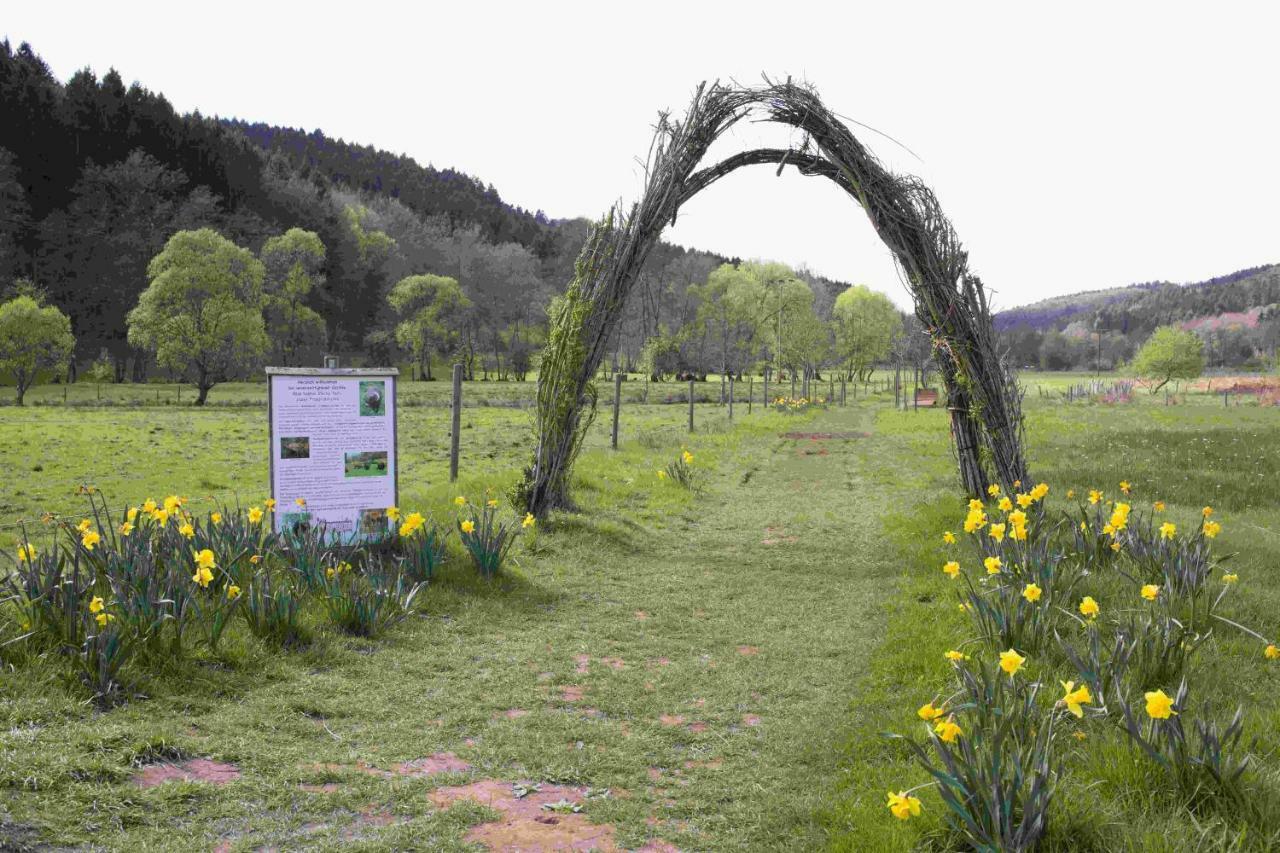 Ferienhaus Vulkaneifel Abtei Himmerod Großlittgen Екстериор снимка